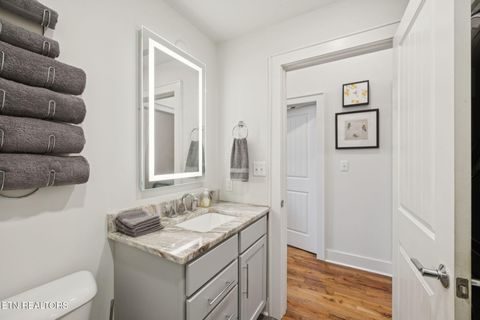 Tiny photo for 353 Ogden St #203, Knoxville, TN 37917 (MLS # 1320190)