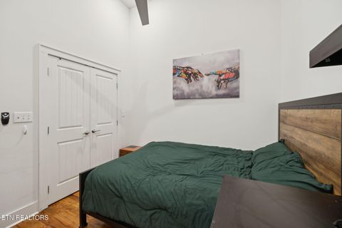 Tiny photo for 353 Ogden St #203, Knoxville, TN 37917 (MLS # 1320190)