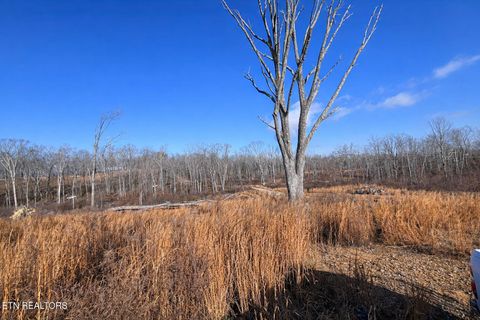 Tiny photo for 2734 River Road Rd, Decatur, TN 37322 (MLS # 1326013)