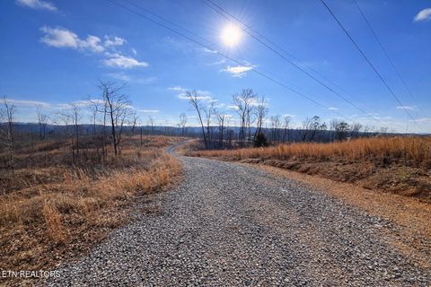 Tiny photo for 2734 River Road Rd, Decatur, TN 37322 (MLS # 1326013)