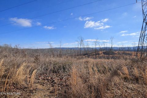 Tiny photo for 2734 River Road Rd, Decatur, TN 37322 (MLS # 1326013)