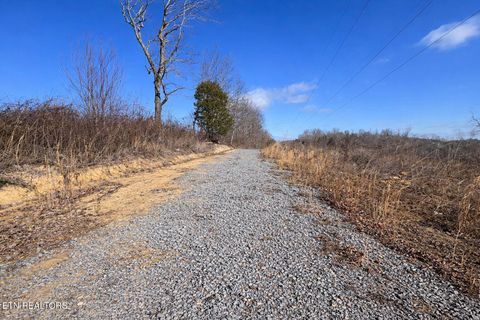 Tiny photo for 2734 River Road Rd, Decatur, TN 37322 (MLS # 1326013)