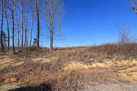 Tiny photo for 2734 River Road Rd, Decatur, TN 37322 (MLS # 1326013)