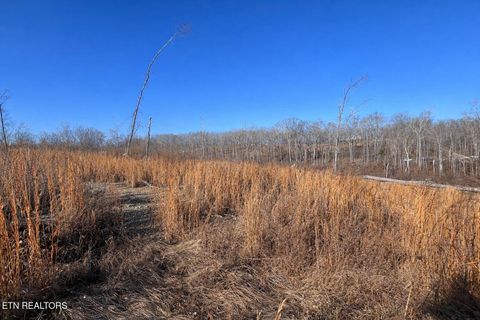 Tiny photo for 2734 River Road Rd, Decatur, TN 37322 (MLS # 1326013)