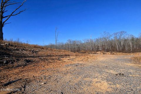 Tiny photo for 2734 River Road Rd, Decatur, TN 37322 (MLS # 1326013)