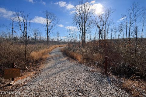 Tiny photo for 2734 River Road Rd, Decatur, TN 37322 (MLS # 1326013)