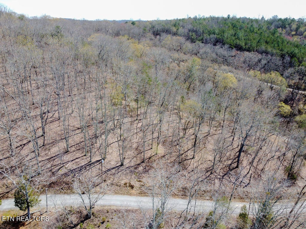 Photo of 00 Red Barn Lane, Ten Mile, TN 37880 (MLS # 1277575)