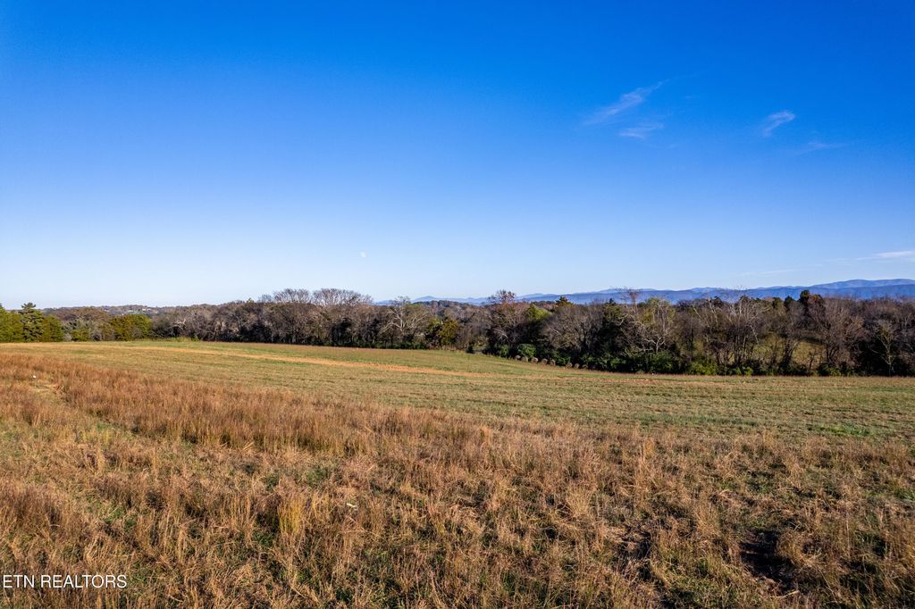 Photo of 361 Meadow Rd, Greenback, TN 37742 (MLS # 1284174)