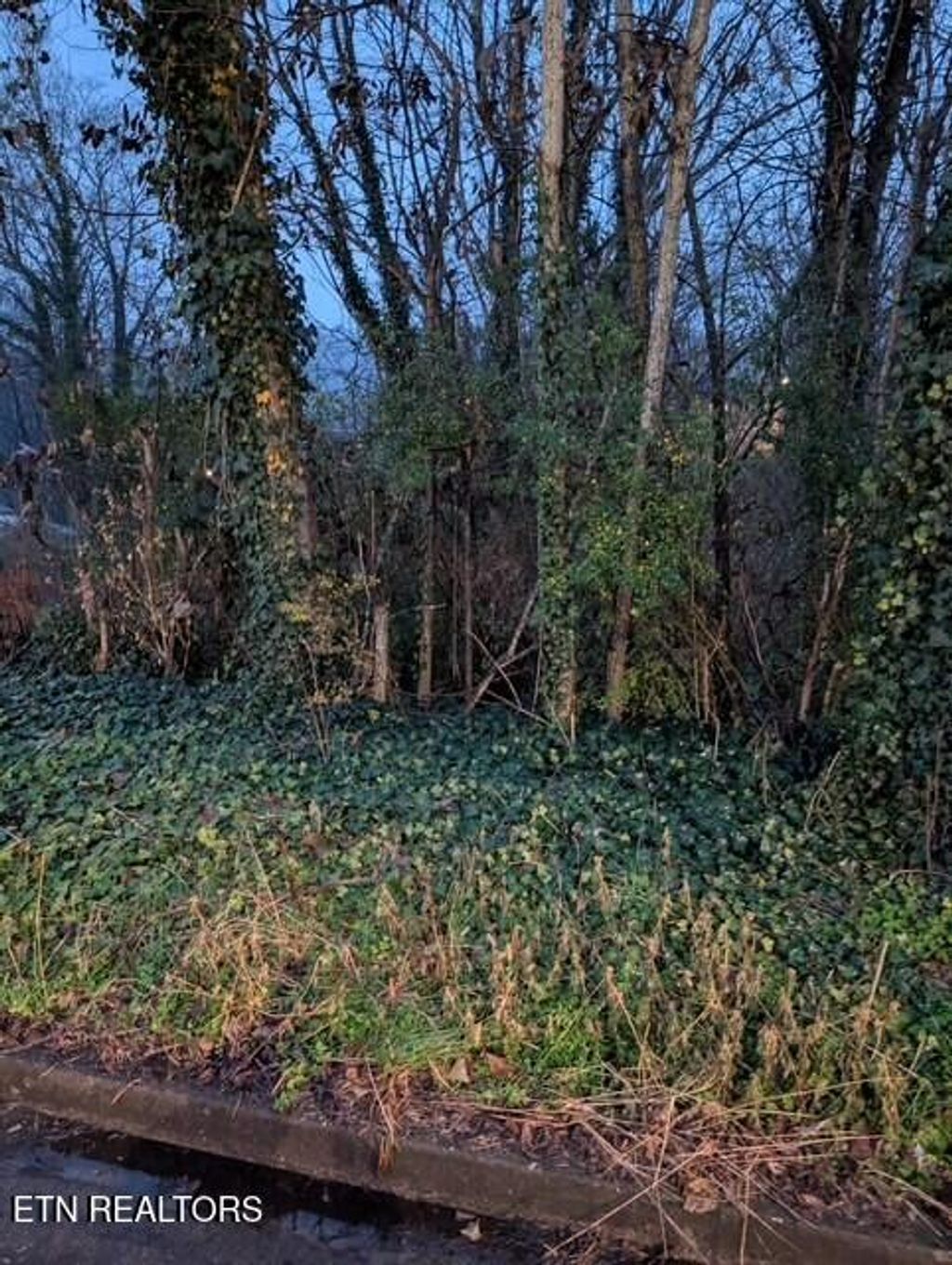 Photo of 950 Cumberland St, Harriman, TN 37748 (MLS # 1322594)