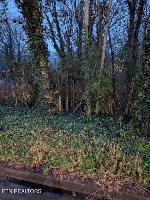 Photo of 950 Cumberland St, Harriman, TN 37748 (MLS # 1322594)