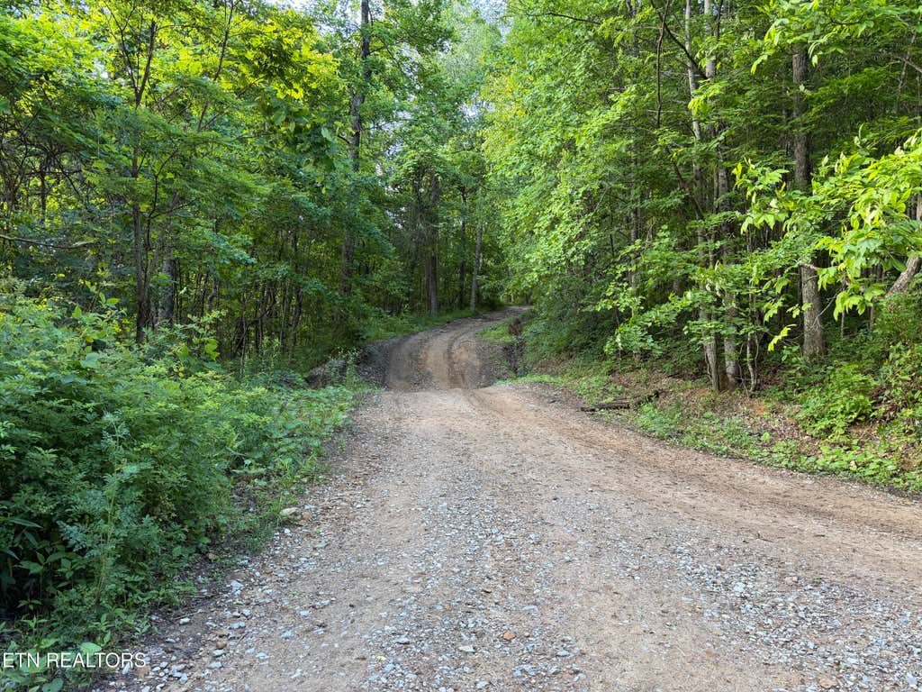Photo of Mountain Rd, Caryville, TN 37714 (MLS # 1343400)