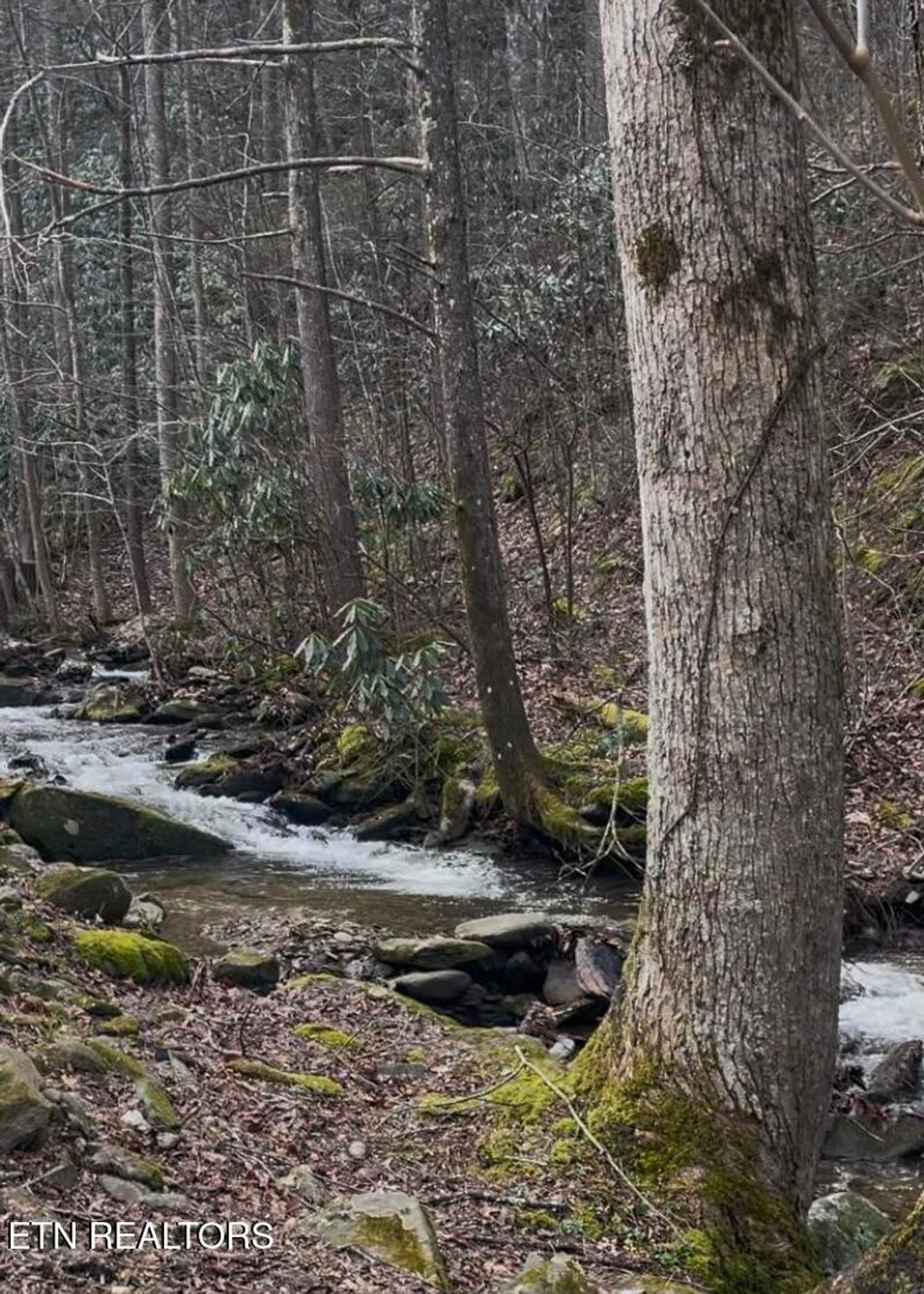 Photo of 1040 Old Bald River Rd, Tellico Plains, TN 37385 (MLS # 1278188)