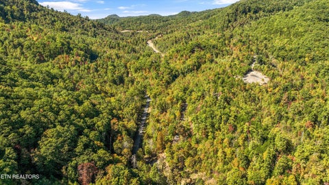 Tiny photo for 113 Smoky Mountain Overlook #Lot 17, Cosby, TN 37722 (MLS # 1359800)