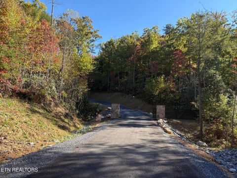 Tiny photo for 113 Smoky Mountain Overlook #Lot 17, Cosby, TN 37722 (MLS # 1359800)