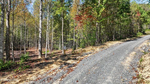 Tiny photo for 113 Smoky Mountain Overlook #Lot 17, Cosby, TN 37722 (MLS # 1359800)