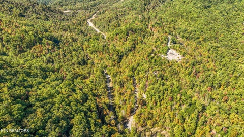 Tiny photo for 113 Smoky Mountain Overlook #Lot 17, Cosby, TN 37722 (MLS # 1359800)