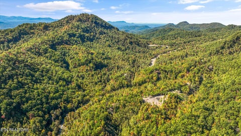 Tiny photo for 113 Smoky Mountain Overlook #Lot 17, Cosby, TN 37722 (MLS # 1359800)