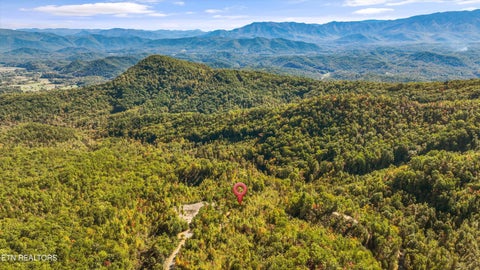 Tiny photo for 113 Smoky Mountain Overlook #Lot 17, Cosby, TN 37722 (MLS # 1359800)