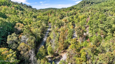 Tiny photo for 113 Smoky Mountain Overlook #Lot 17, Cosby, TN 37722 (MLS # 1359800)