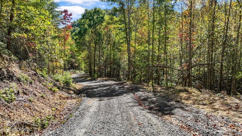 Tiny photo for 113 Smoky Mountain Overlook #Lot 17, Cosby, TN 37722 (MLS # 1359800)