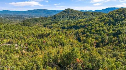 Tiny photo for 113 Smoky Mountain Overlook #Lot 17, Cosby, TN 37722 (MLS # 1359800)