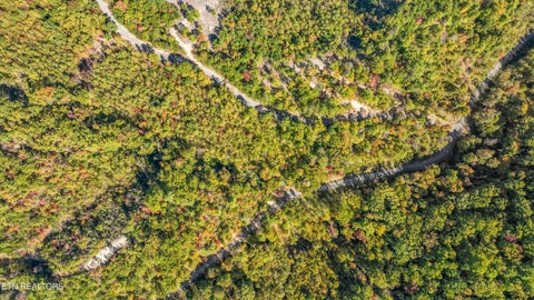 Tiny photo for 113 Smoky Mountain Overlook #Lot 17, Cosby, TN 37722 (MLS # 1359800)
