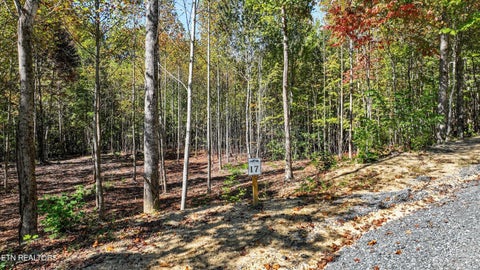 Photo of 113 Smoky Mountain Overlook #Lot 17, Cosby, TN 37722 (MLS # 1359800)