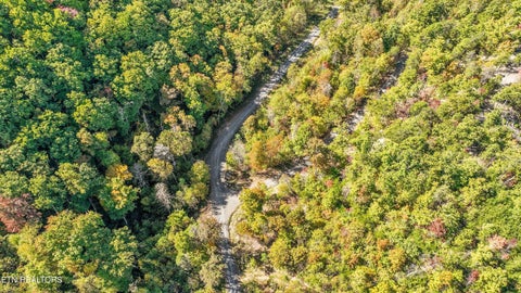 Tiny photo for 113 Smoky Mountain Overlook #Lot 17, Cosby, TN 37722 (MLS # 1359800)