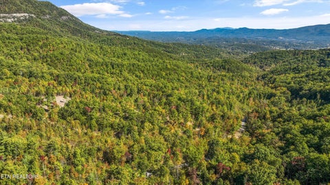 Tiny photo for 113 Smoky Mountain Overlook #Lot 17, Cosby, TN 37722 (MLS # 1359800)