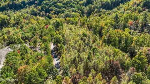 Tiny photo for 113 Smoky Mountain Overlook #Lot 17, Cosby, TN 37722 (MLS # 1359800)
