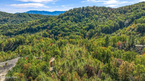 Tiny photo for 113 Smoky Mountain Overlook #Lot 17, Cosby, TN 37722 (MLS # 1359800)