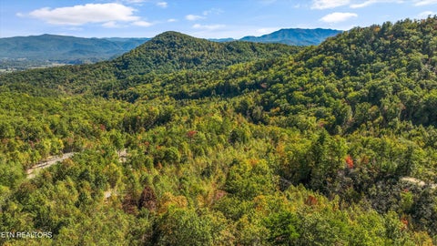 Tiny photo for 113 Smoky Mountain Overlook #Lot 17, Cosby, TN 37722 (MLS # 1359800)