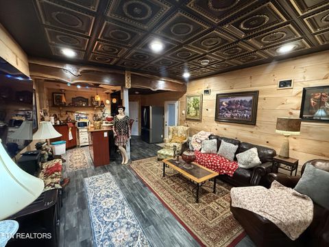 Tiny photo for 180 N Grand Country Drive, Cosby, TN 37722 (MLS # 1294382)