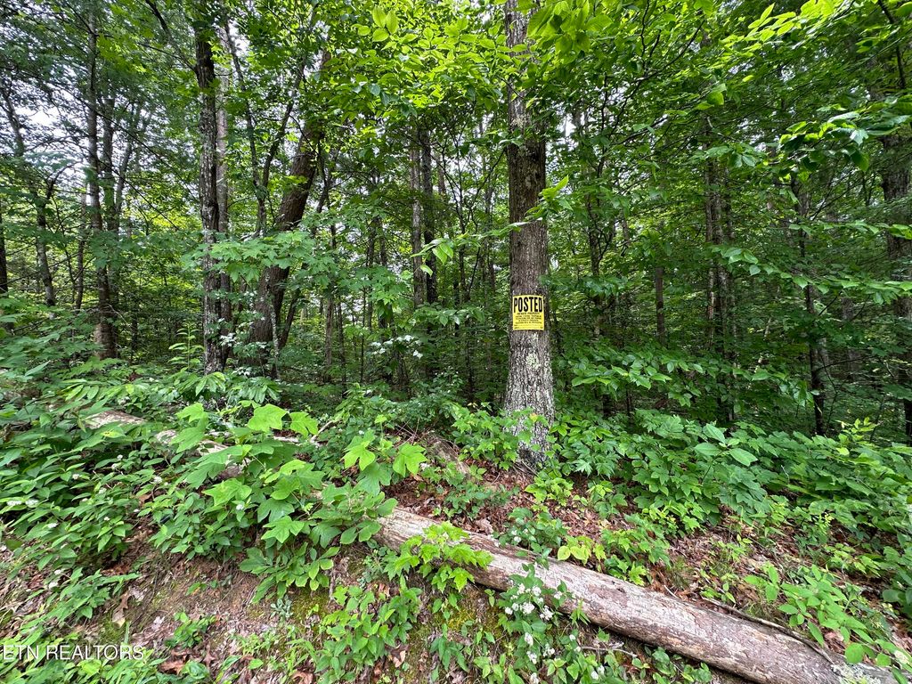 Photo of 000 Towee Falls Rd, Tellico Plains, TN 37385 (MLS # 1265425)