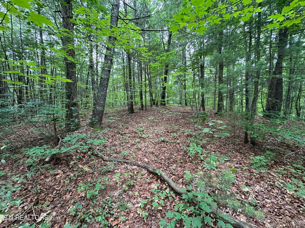 Photo of 000 Towee Falls Rd, Tellico Plains, TN 37385 (MLS # 1265425)