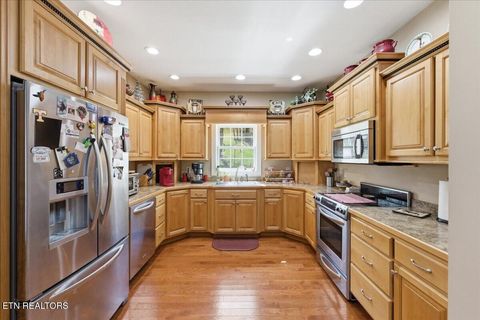 Tiny photo for 1999 Repass Rd, New Market, TN 37820 (MLS # 1332839)