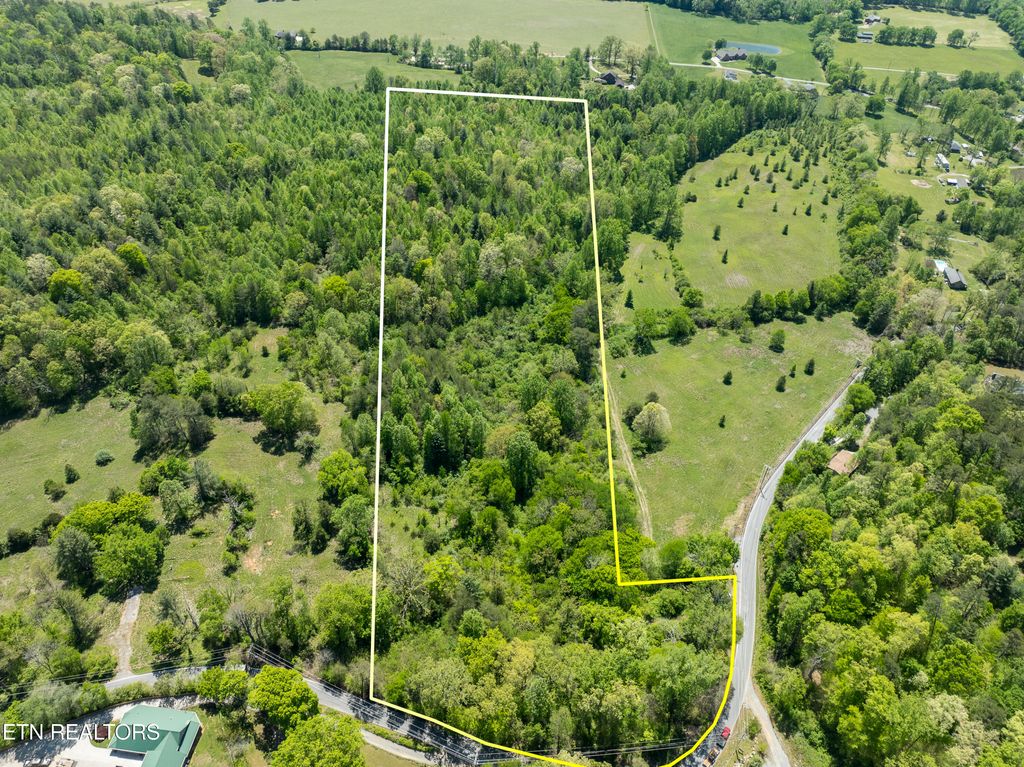 Photo of 444 E Millers Cove Rd, Walland, TN 37886 (MLS # 1339367)