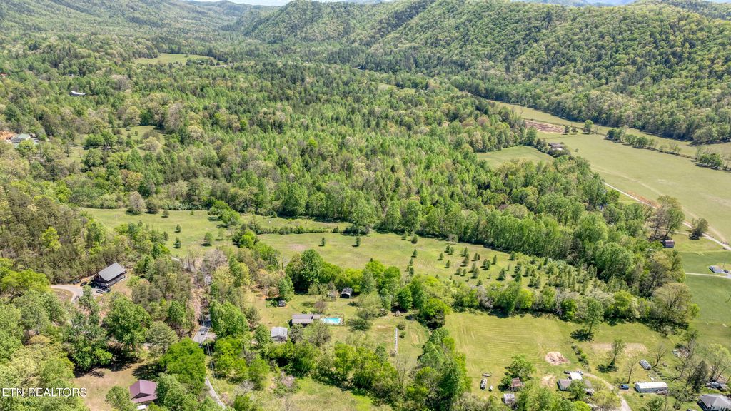 Photo of 444 E Millers Cove Rd, Walland, TN 37886 (MLS # 1339367)
