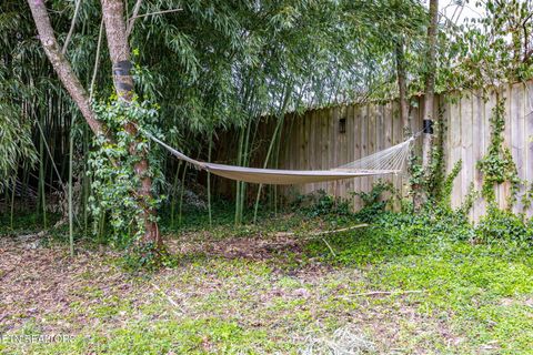 Tiny photo for 445 Chickamauga Ave, Knoxville, TN 37917 (MLS # 1333602)