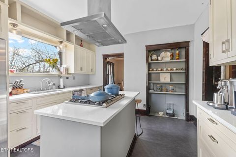 Tiny photo for 445 Chickamauga Ave, Knoxville, TN 37917 (MLS # 1333602)