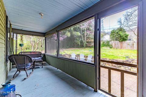 Tiny photo for 445 Chickamauga Ave, Knoxville, TN 37917 (MLS # 1333602)