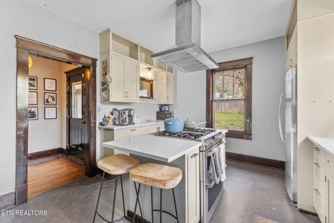 Tiny photo for 445 Chickamauga Ave, Knoxville, TN 37917 (MLS # 1333602)