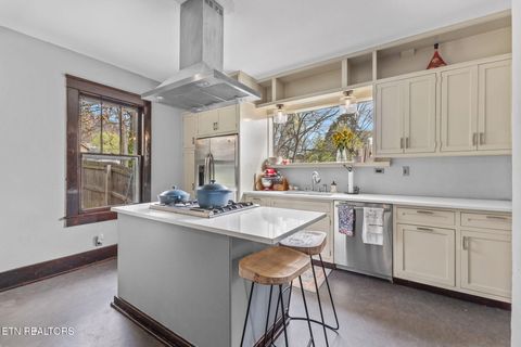 Tiny photo for 445 Chickamauga Ave, Knoxville, TN 37917 (MLS # 1333602)