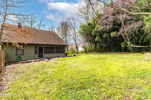 Tiny photo for 445 Chickamauga Ave, Knoxville, TN 37917 (MLS # 1333602)