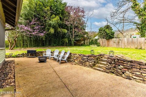 Tiny photo for 445 Chickamauga Ave, Knoxville, TN 37917 (MLS # 1333602)