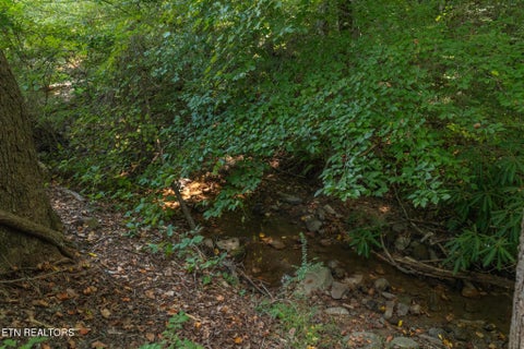 Tiny photo for 2107 Jeans Way, Pigeon Forge, TN 37876 (MLS # 1357530)