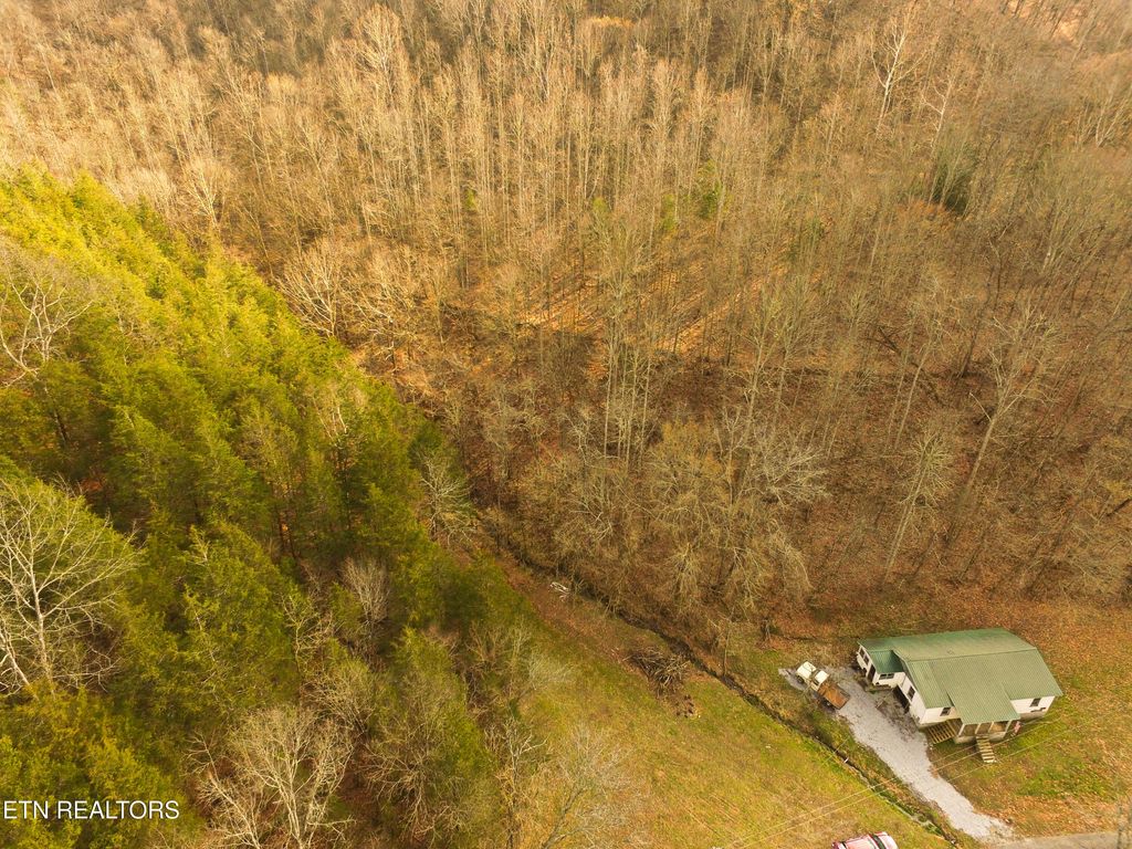 Photo of 290 Hazel Huffines Lane, Whitleyville, TN 38588 (MLS # 1333062)