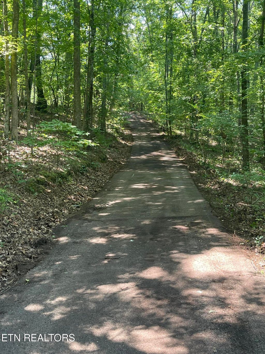 Photo of 00 Euchee Rd, Ten Mile, TN 37880 (MLS # 1260438)