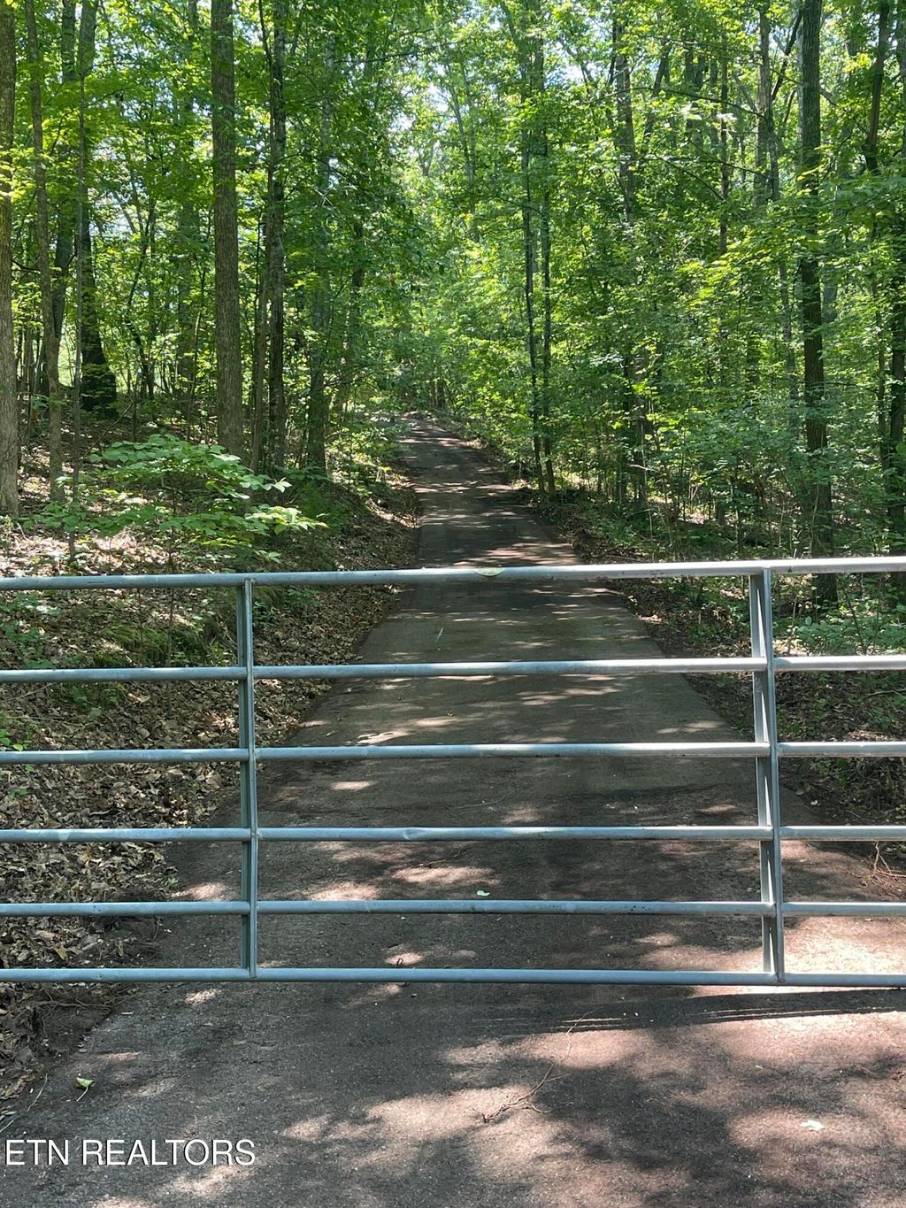 Photo of 00 Euchee Rd, Ten Mile, TN 37880 (MLS # 1260438)