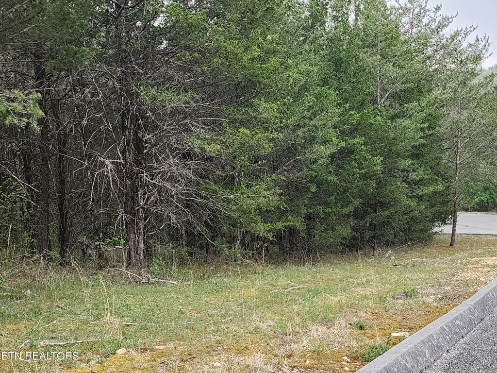 Photo of 174 lot Wedge Way Way, Tazewell, TN 37879 (MLS # 1298259)